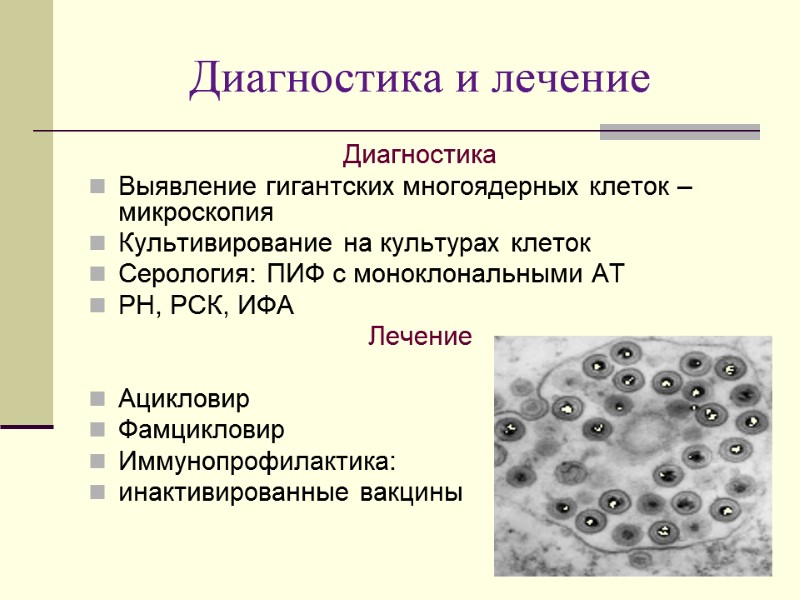 Диагностика и лечение Диагностика Выявление гигантских многоядерных клеток – микроскопия Культивирование на культурах клеток